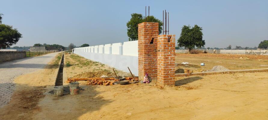 What is the Price of Plot Dankaur in Greater Noida